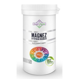 CYTRYNIAN MAGNEZU (650 mg) 120 WEGEKAPSUŁEK