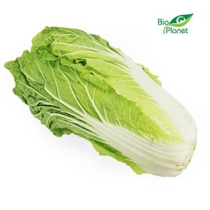 KAPUSTA PEKIŃSKA ŚWIEŻA BIO (POLSKA) (około 0,6 kg)