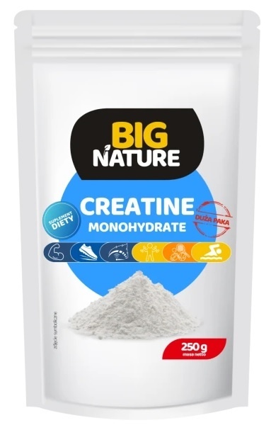 Kreatyna Monohydrat 250 G BIG NATURE